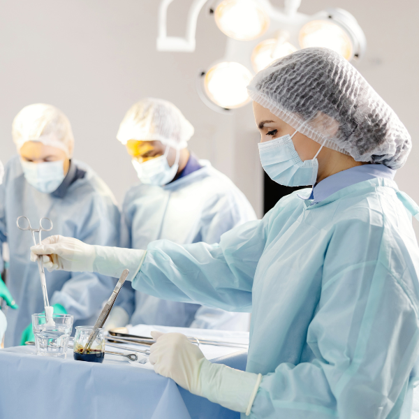 shutterstock_2496573619